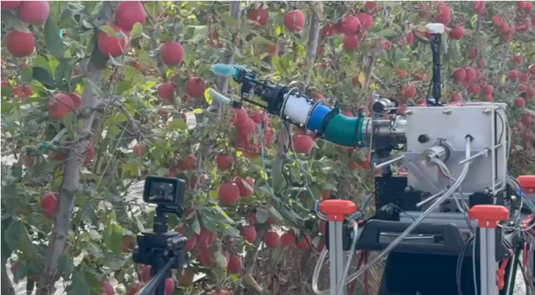 Soft Manipulator for Flower Thinning